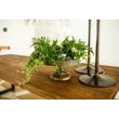 Kép 3/7 - Sasa tölgyfa étkezőasztal U lábbal - lavintagehome.hu