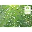 Kép 7/8 - Greenguard Gold tanúsítvány